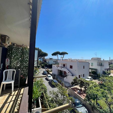 Coastal House - Spiaggia E Piscina A Dieci Passi Santa Marinella Exterior foto